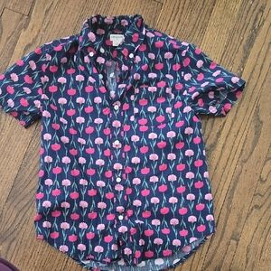 J. Crew Blue and Pink Casual Button Down Shirt